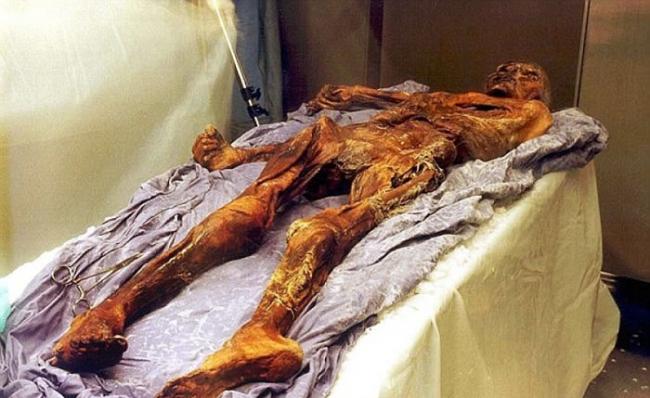 奥茨是学界迄今为止所发现最古老、保存最完整的人类遗体。