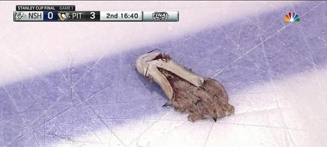美国男子观看冰球比赛史丹利杯决赛时将一条死掉的鲶鱼往冰球场上丢