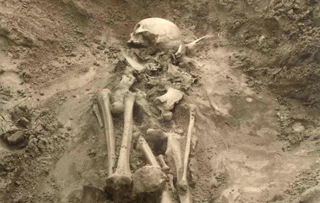 在爱沙尼亚一个古墓发现，这个死者的牙齿有鼠疫DNA。