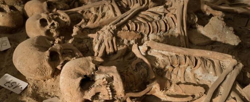 法国巴黎超市地下挖出超过200副人类骸骨 或死于14至16世纪的瘟疫或饥饿