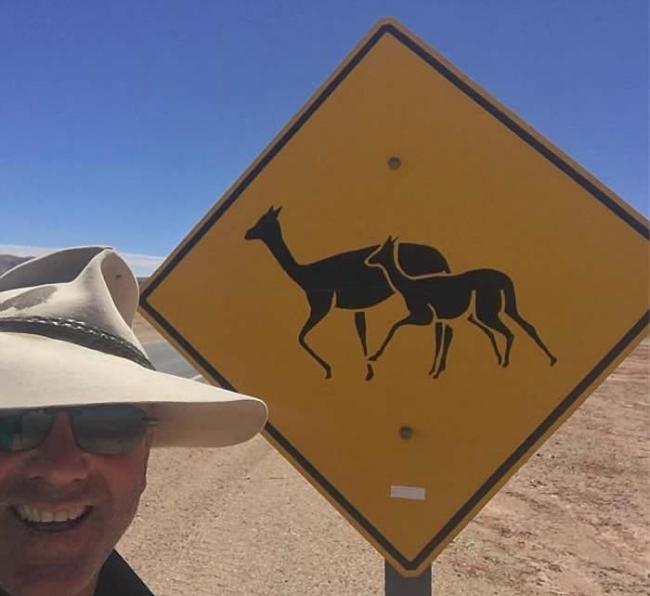 探险家穿越澳洲沙漠被千上万只苍蝇将他与骆驼团团包围