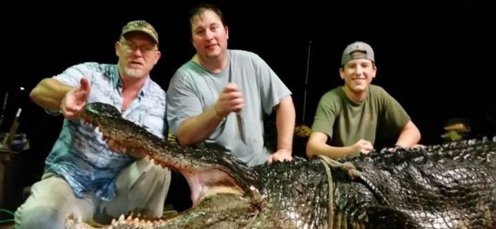 美国阿拉巴马州一座湖里捕获417公斤巨型短吻鳄
