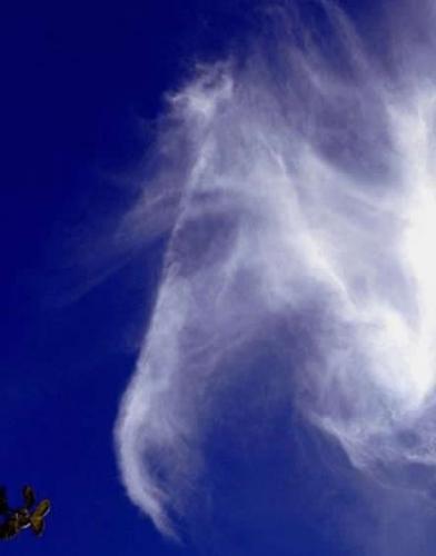 这是从威尔士彭布洛克郡上空经过的一片酷似一匹马的云彩。