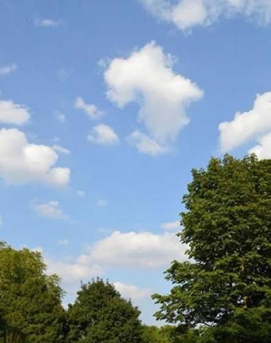 这是在布洛威公园上空出现的一片酷似非洲形状的云彩。