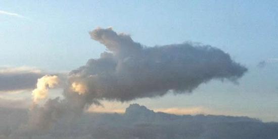 这张照片是由22岁的Matthew Sears拍摄到的，这片海豚状的云彩正从埃塞克斯郡M11公路的上空飘过。