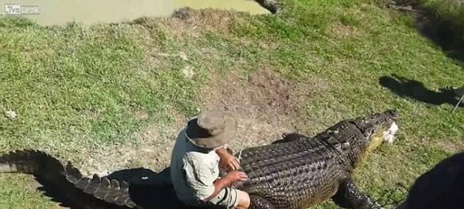 死鸡引现身 澳洲组织拍摄影片提醒游客小心鳄鱼