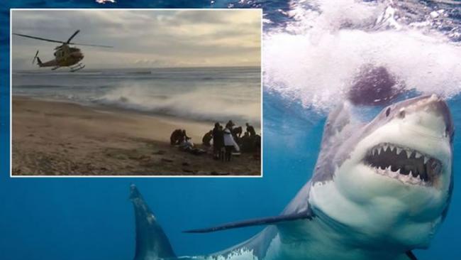澳洲西部1周内2人被鲨鱼咬死：“它比船还要大”