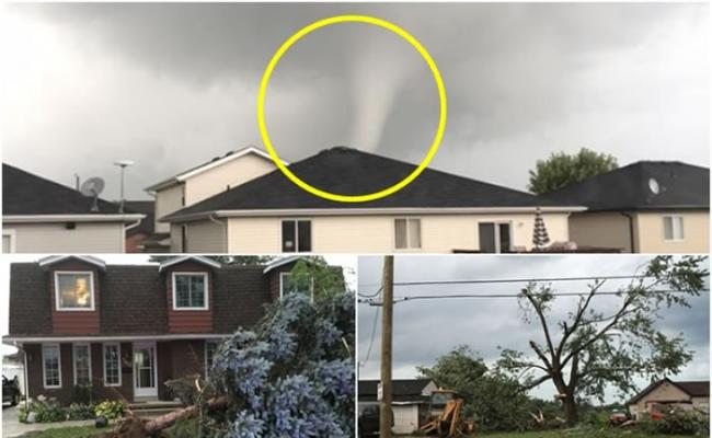 龙卷风吹毁房屋和大树。