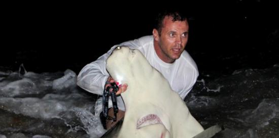 美国男子在佛罗里达州南部棕榈滩钓得4米锤头鲨