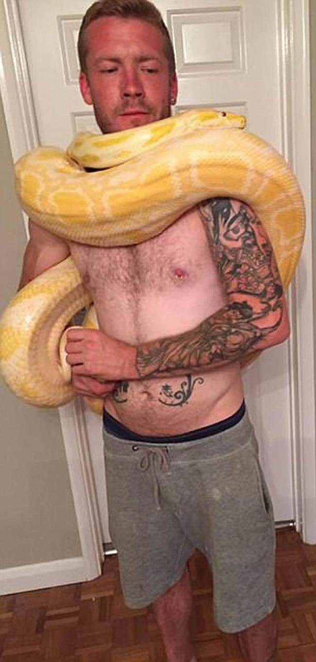 英国蛇痴离奇倒毙 凶手或是家中7.6米宠物蟒蛇