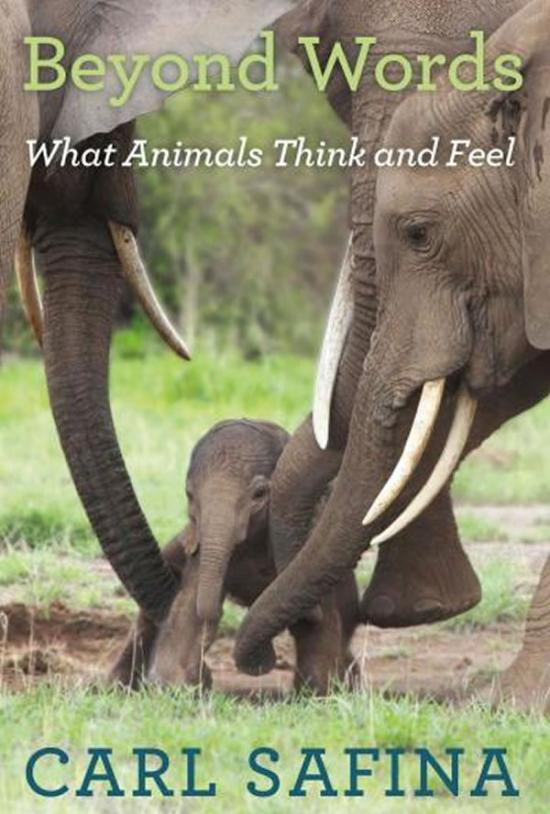 卡尔‧萨非纳（Carl Safina）新书《更胜言语：动物如何思考、如何感受》