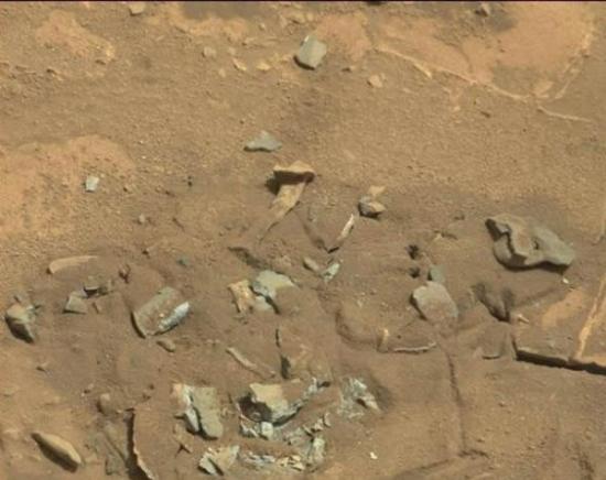 美国NASA辟谣火星照片上发现股骨：风化岩石而已