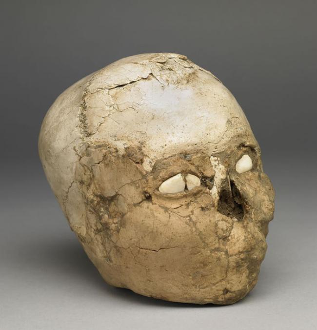 杰里柯头骨内部塞满泥土、外覆石膏以表现脸部特征，贝壳则用来代表死者的双眼。 PHOTOGRAPH COPYRIGHT THE TRUSTEES OF THE B