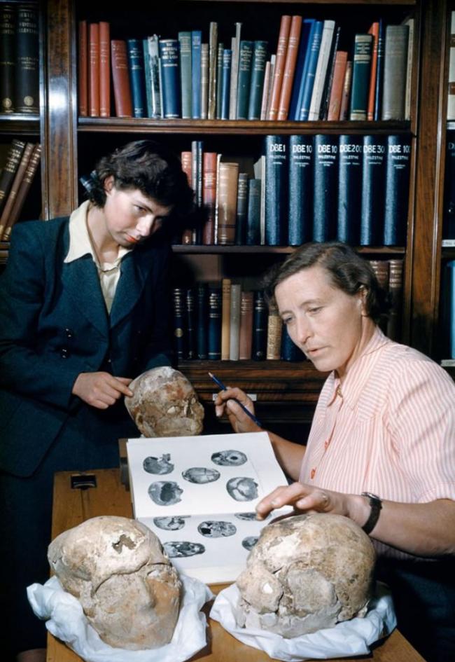 在这张1953年《国家地理》的照片中，考古学家凯斯林．肯扬（右）和技师西赛尔．魏斯邓（Cecil Western）正在检视于泰尔．艾斯苏坦遗址发掘的新石器时代头