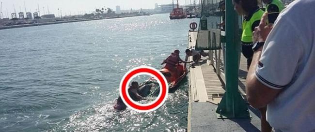 泳客将海豚（红圈示）送到岸上。
