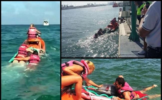泳客以水上电单车合力拯救海豚。