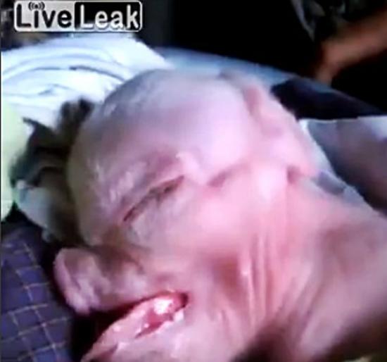 影音网站LiveLeak出现一段老挝“人头猪”影片