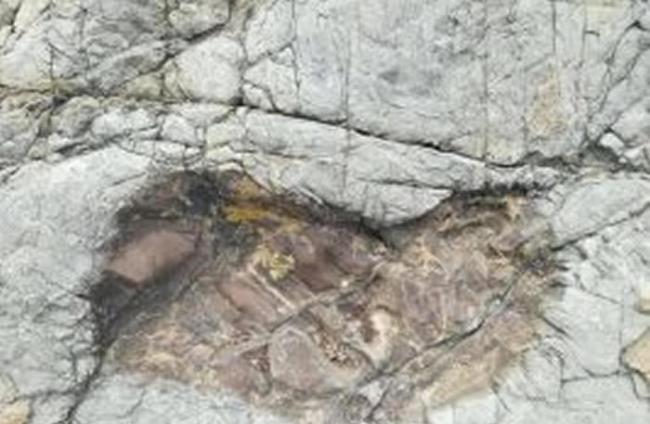 史前巨人真的存在？南美洲玻利维亚山谷岩石上发现巨大脚印