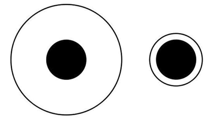 德勃夫大小错觉是一种视错觉，同样大小的黑色原点会由于外圈的大小而显得不一样大，外圈越大，黑点看起来越小。这一视错觉源于大脑在观察黑点时会将背景考虑在内。