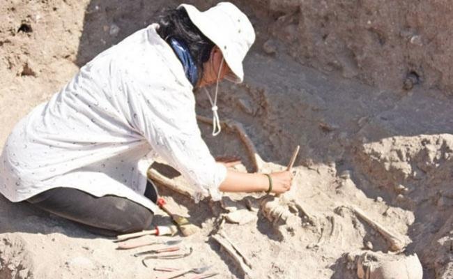 最后的特洛伊人？土耳其西北部传说中的特洛伊古城遗址发掘出骸骨