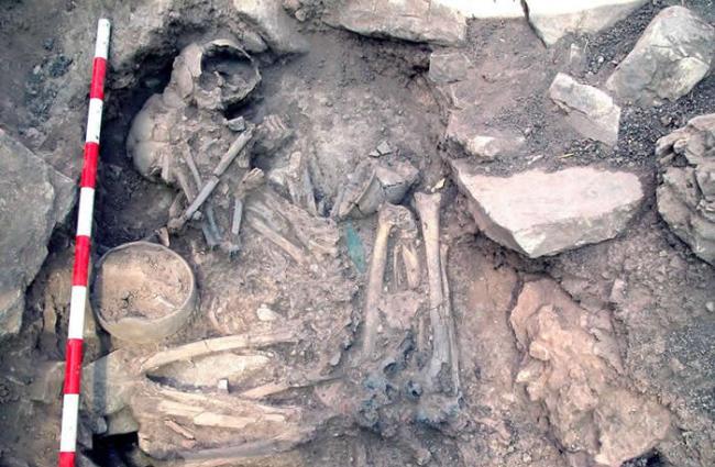 伊比利亚半岛古人类过去8000年的基因组历史
