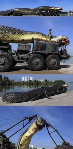 越南军队捕获致命大蛇