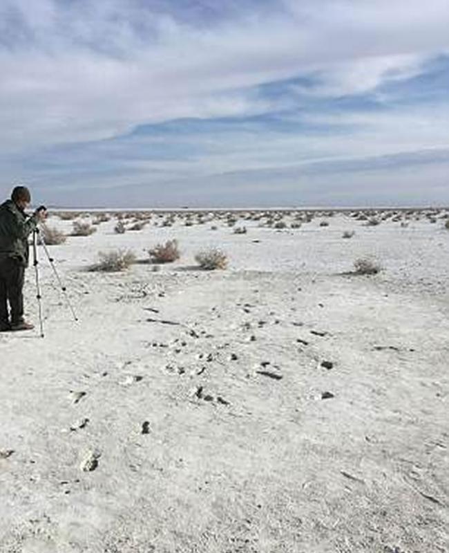 除了追踪树懒的人类踪迹之外，还有更多的人类踪迹。如图所示，在新墨西哥州白沙国家纪念碑可以看到两个远古人类的足迹化石。