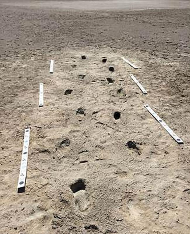 除了追踪树懒的人类踪迹之外，还有更多的人类踪迹。如图所示，在新墨西哥州白沙国家纪念碑可以看到两处远古人类的足迹化石。