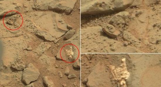 外星人发烧友声称发现火星上有疑似外星人的化石骸骨