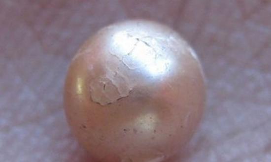 澳洲发现一颗2千年历史天然珍珠