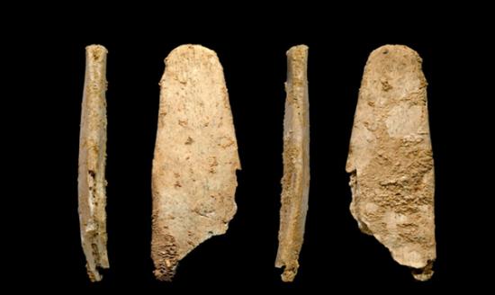 尼安德特人制造了欧洲第一个专门的骨质工具