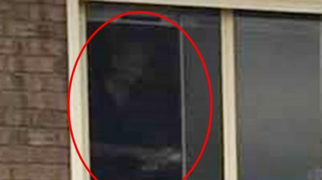 澳洲南澳省维多利亚港一户人家卖房 现场拍摄的照片居然出现阿公的“鬼影”