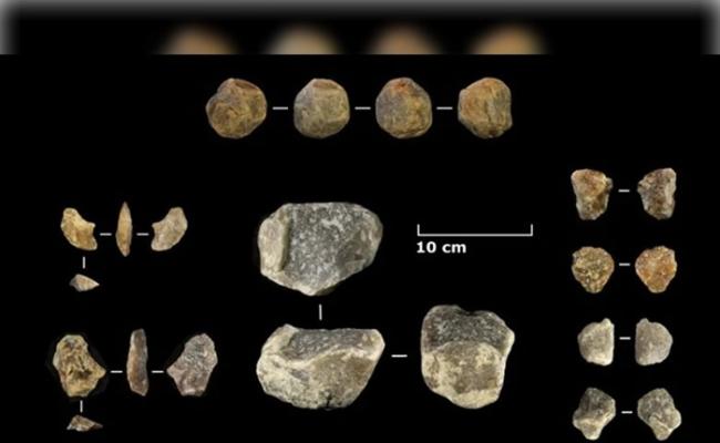 坦桑尼亚奥杜瓦伊峡谷发现200万年前石器及动物化石 证早期人类具备适应环境的能力
