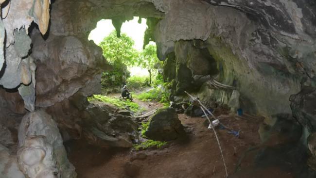 印度尼西亚苏拉威西岛石灰岩洞穴中发现4万5千多年前疣猪壁画