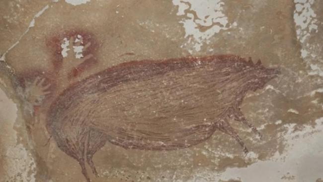 印尼苏拉威西岛Leang Tedongnge洞穴发现4.55万年前冰河时期疣猪壁画 或出自智人之手