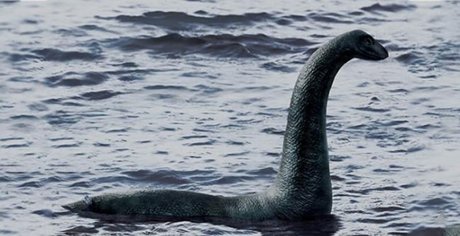 科学家称尼斯湖水怪是一种古老海龟物种 冰河时代被困