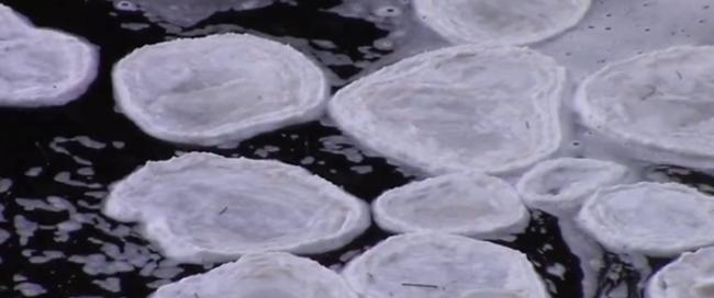英国苏格兰北部城市因弗内斯的尼斯河流域出现罕见“冰煎饼”现象