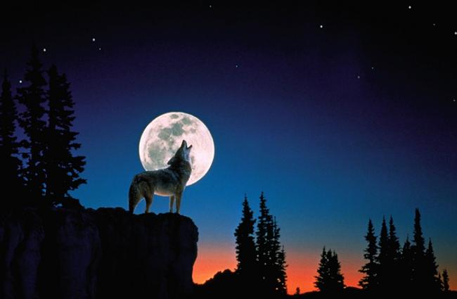 美国民众在28日晚能欣赏到今年第一个满月“狼月”