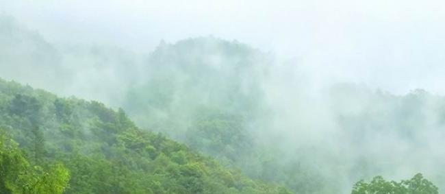 中国南方常绿阔叶林景观。李树峰摄