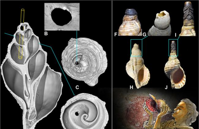 法国比利牛斯山脉旧石器时代洞穴发现的已知最早海螺壳号角在1万7000年后再次响起