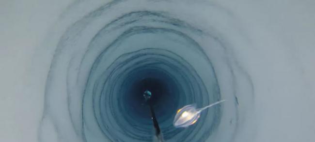 《海洋科学前沿》杂志：南极冰架下深处发现可能是海绵类的无脊椎动物