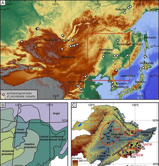 中国东北地区的地理位置、植被区划与细石叶遗存分布
