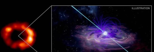 一颗中子星可能潜伏在著名超新星1987A内