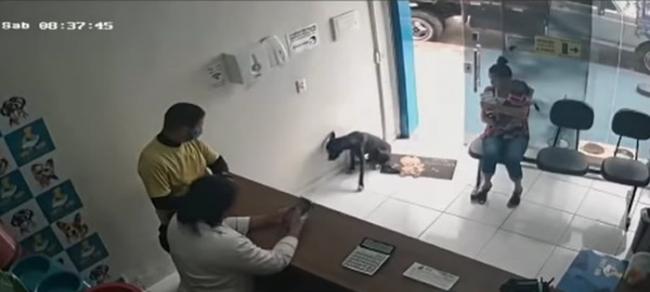巴西一只流浪黑狗自己走进兽医诊所求救 没有插队坐在候诊区等候