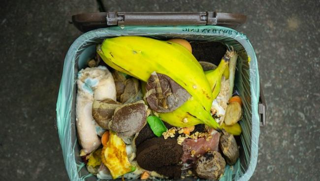 联合国环境署：全球每年浪费近10亿吨食物