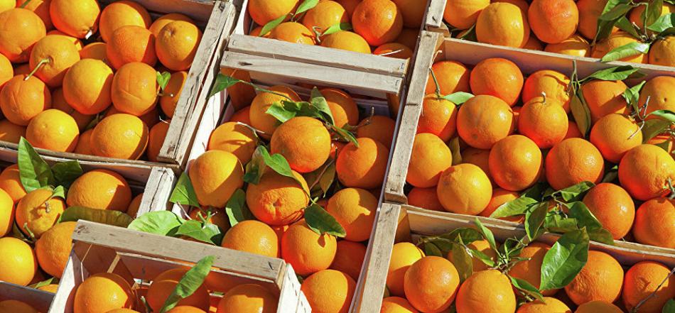 美国印第安纳大学研究指过量食用橙子会引发皮肤癌