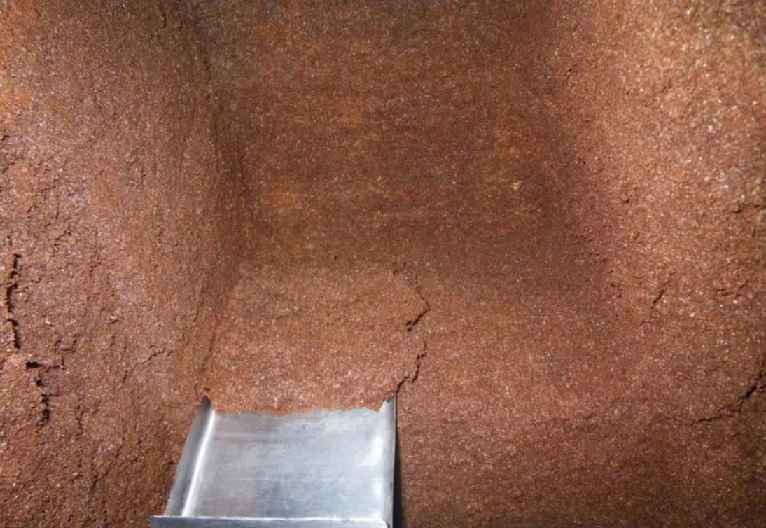 通过分析牙买加Home Away from Home洞穴蝙蝠粪便来确定过去4300年它们的饮食变化