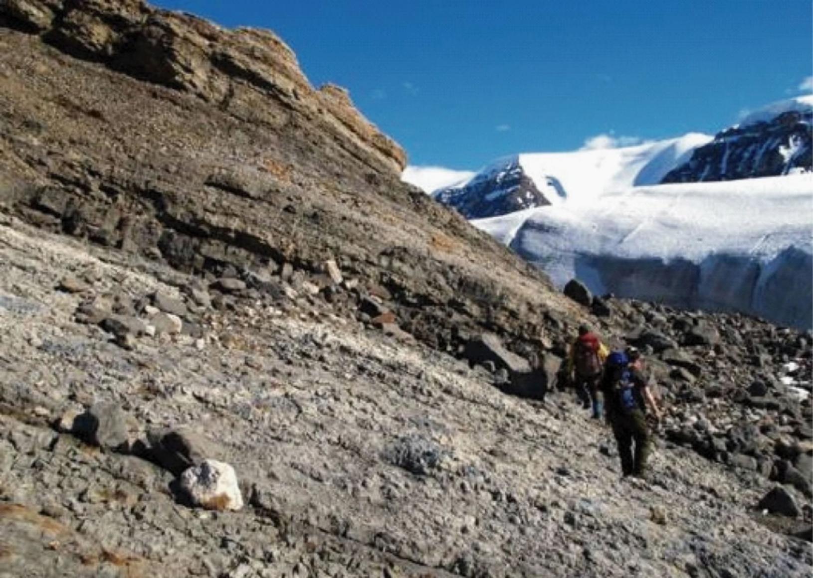 科研人员在加拿大斯沃德鲁普盆地采集岩层样品。（图片来自沈延安课题组）