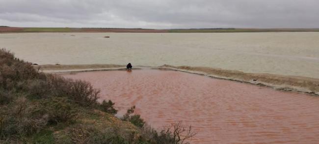 西班牙“蒂列斯”盐湖发现能在火星上生存的藻类――盐生杜氏藻和忠清南道盐单胞菌