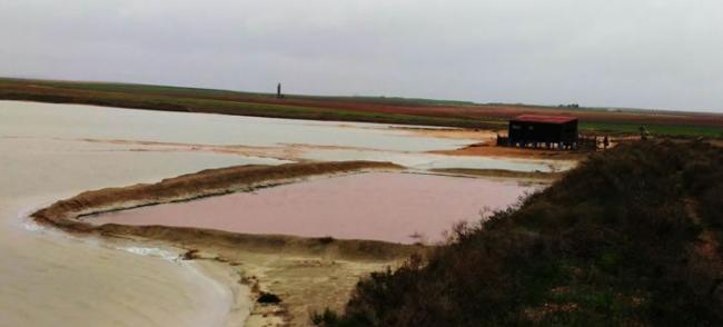 西班牙“蒂列斯”盐湖发现能在火星上生存的藻类――盐生杜氏藻和忠清南道盐单胞菌